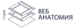 webanatomy.ru